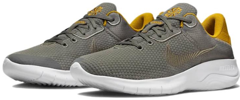 Nike Flex Experience Run 11 Next Nature 'Flat Pewter Gold' DD9284-009 Lookbook Nike Flex Experience Run 11 Next Nature 'Flat Pewter Gold' DD9284-009