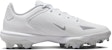 Nike Force Trout 8 Pro MCS 'Putih Kelabu Serigala' CZ5914-100