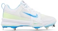 Buy Nike Force Trout 9 Pro 'Fresh Pack' Lelaki Kasut Sukan FQ7941-100