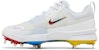Nike Force Trout 9 Pro 'Rainbow' Lelaki FB2907-106