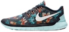 Buy Nike Free 5.0 Photosynthesis '藍' 724516-401