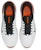 Nike Free Golf NN FN0332-103