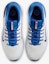 Purchase Nike Free Golf NN FQ7875-400