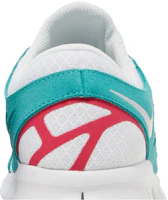 Sizing 耐吉 Free Run 2 '白綠莓' DR9877-100