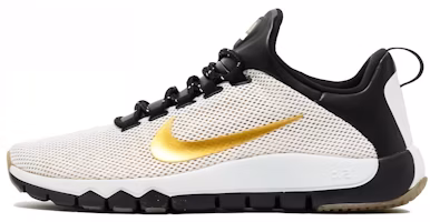 Nike Free Trainer 5.0 LE 'Paid In Full' 658119-170 Nike Free Trainer 5.0 LE 'Paid In Full' 658119-170