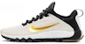 Nike Free Trainer 5.0 LE 'Paid In Full' 658119-170