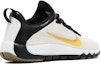 Lookbook Nike Free Trainer 5.0 LE 'Paid In Full' 658119-170