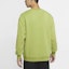 Purchase Nike French Terry Swoosh Gradient Crewneck Pullover in Pear Green DB9408-310