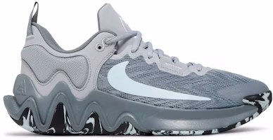 Nike Giannis Immortality 2 'Cool Grey Glacier Blue' DM0825-004 Nike Giannis Immortality 2 'Cool Grey Glacier Blue' DM0825-004