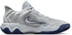 Nike Giannis Immortality 4 EP Wolf Gray/Pure Platinum/Midnight Navy/Metallic Platinum FQ3681-008