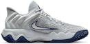 Lookbook Nike Giannis Immortality 4 EP Wolf Gray/Pure Platinum/Midnight Navy/Metallic Platinum FQ3681-008