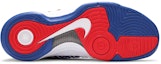 Shop Nike Hyperdunk 2012 '波多黎各主場' 524934-100