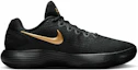 Details for 耐克Hyperdunk 2017 Low‘黑金’ IH0634-070