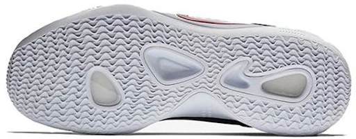 Purchase Nike Hyperdunk X EP 'USA' AO7890-400
