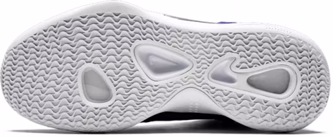 Nike Hyperdunk X TB 'Morado Cancha' AR0467-500 Shop Nike Hyperdunk X TB 'Morado Cancha' AR0467-500