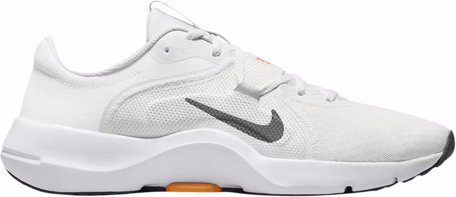 Nike In Season TR 13 Light Silver Iron Grey DZ9360 006