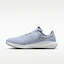 Buy Nike Infinity G NN Golfschoenen Ghost/Off Noir/Metallic Zilver FN0565-003