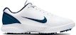 Nike Infinity Golf Wide 'White Valerian Blue' CT0535-102