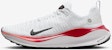Nike Infinity Run 4 'Putih Platinum Tint' DR2665-104