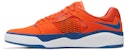 Nike Ishod Wair Premium SB 'Oren Biru Jay' DZ5648-800