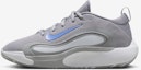 Buy (Youth) Nike IsoFly Sneakers FN4384-002