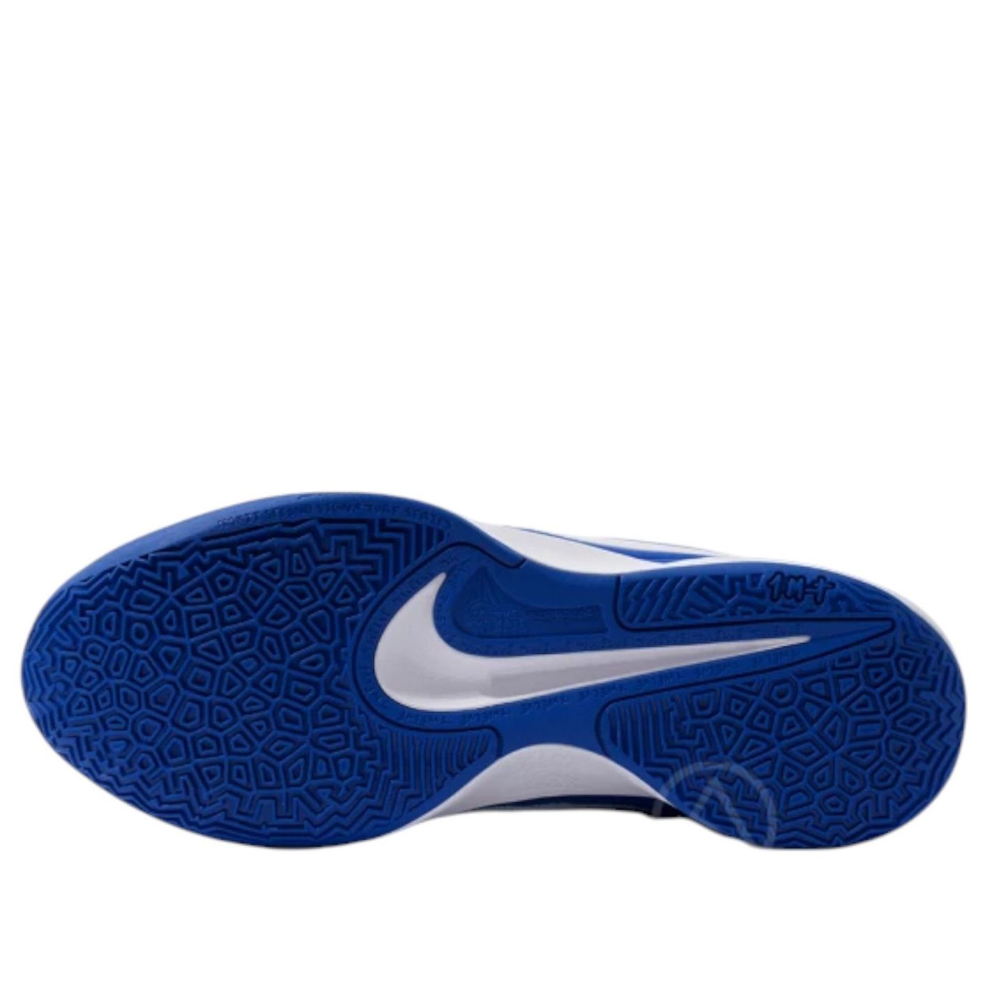 Purchase Nike Ja 2 TB EP '皇家藍' HQ8512-400