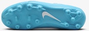 Order Nike Junior Phantom GX2 Akademi FJ2602-400