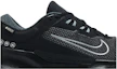 Order Nike Juniper Trail 2 GORE-TEX ''Schwarz Cool Grau'' FB2067-001