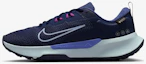 Buy (W) 耐克 Juniper Trail 2 GTX V2 跑步鞋 HM9725400