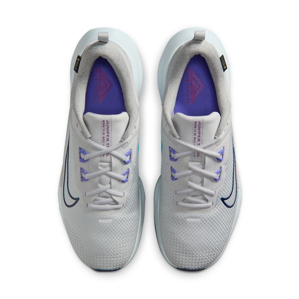 Shop NIKE Juniper Trail 2 GTX V2 Chaussures de Running HM9734005