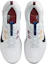 Purchase 耐克Juniper Trail 2 Next Nature '白色纯铂金黑色' DM0822-104