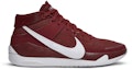 Buy ナイキ KD13 TB バーガンディ CW4115-601