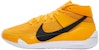 Nike KD 13 TB 'Emas Universiti' CW4115-702
