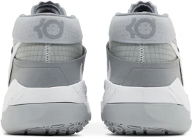 Details for 耐吉 KD 13 TB '狼灰' CK6017-001