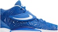 Order Nike KD 14 TB 'Game Royal' Lelaki Kasut Sukan DA7850-400