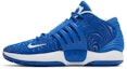 Lookbook Nike KD 14 TB 'Game Royal' Lelaki Kasut Sukan DA7850-400
