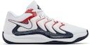 Buy Nike KD 17 'Amerika Syarikat' FJ9487-101
