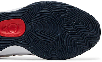 Details for 耐吉 KD 17 '美國' FJ9487-101