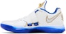 Nike KD 4 'MVP Alternatif' IB3546-100