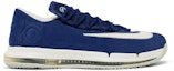Buy Kasut Nike KD 6 Elite Fragment Royal 683250-410