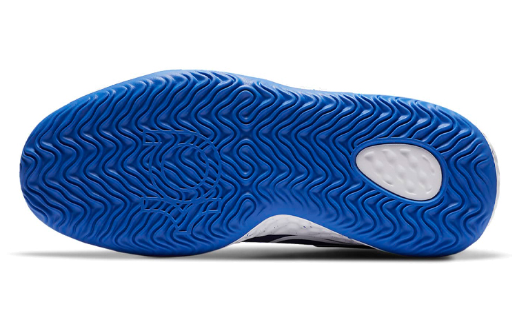 Details for (JR) Nike KD Trey 5 VIII 'Biru Putih' CT1425-402