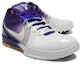 Shop Nike Kobe 4 Gradient Home 344335-113