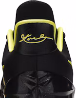 Sizing Nike Kobe A.D. Oregon Herrenschuhe 922026-001