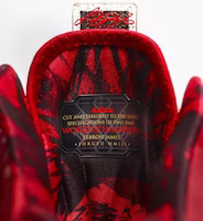 나이키 르브론 10 "셀레브레이션 팩" (Nike LeBron 10 "Celebration Pack") 628622-900 5