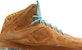Nike LeBron 10 EXT QS 'Hazelnut' 607078-200