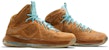 Nike LeBron 10 EXT QS 'Hazelnut' 607078-200