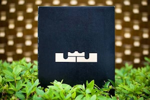 レブロン10 PS エリート "スーパーヒーロー" 579827-400 Sizing レブロン10 PS エリート "スーパーヒーロー" 579827-400