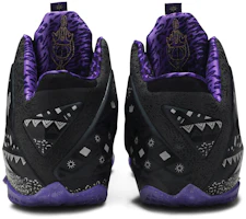 Details for Nike LeBron 11 'BHM' 646702-001