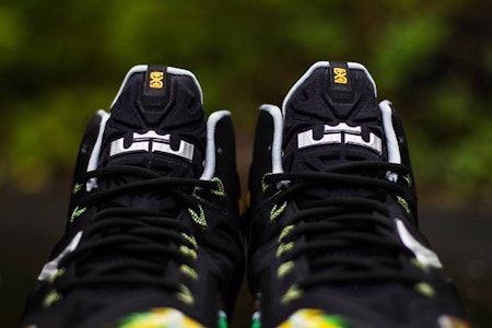 耐克 LeBron 11 大沼泽地篮球鞋 616175-006 Order 耐克 LeBron 11 大沼泽地篮球鞋 616175-006