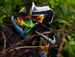 Shop Nike LeBron 11 Everglades 616175-006
